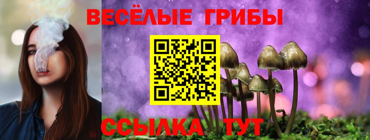 Железногорск  Псилоцибиновые грибы ЛСД  Вход с VPN 